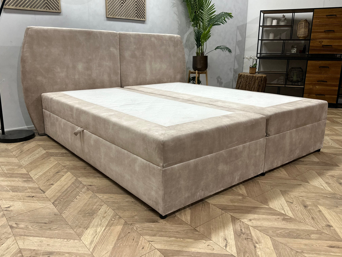 !Showroommodel! Beige Velvet Boxspring Inc Topper