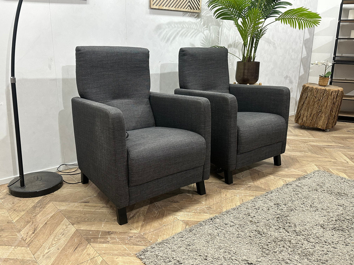 Antraciet Fauteuils ~ Verstelbare Rugleuningen